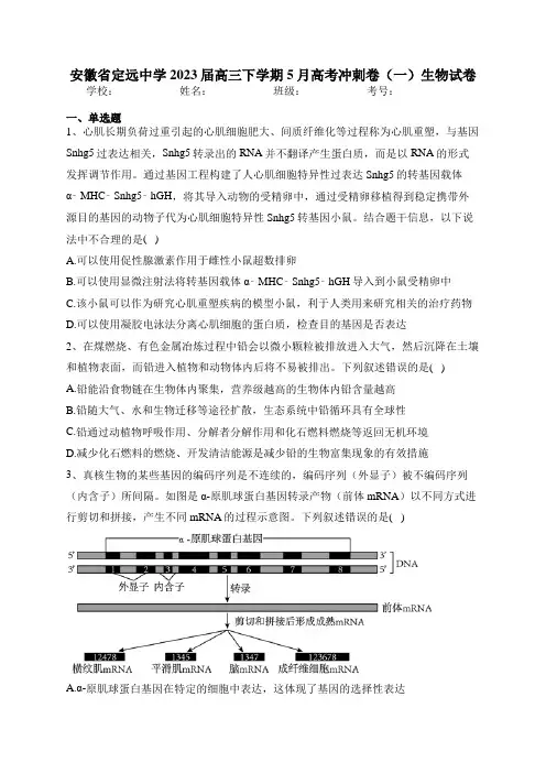 安徽省定远中学2023届高三下学期5月高考冲刺卷(一)生物试卷(含答案)