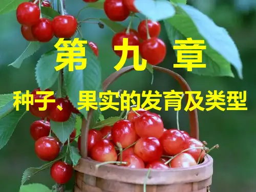《植物学》11第   九   章   种子果实的发育及类型PPT课件