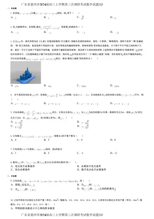 广东省惠州市2024届高三上学期第三次调研考试数学试题(1)