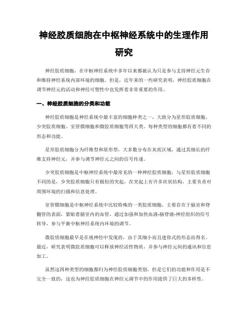 神经胶质细胞在中枢神经系统中的生理作用研究