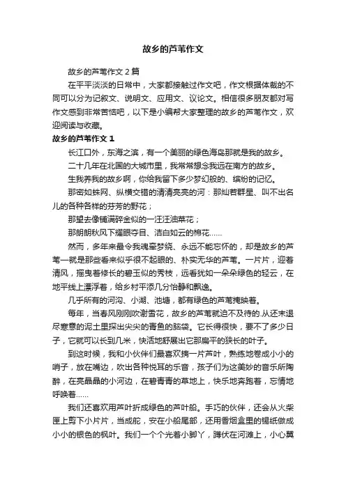 故乡的芦苇作文