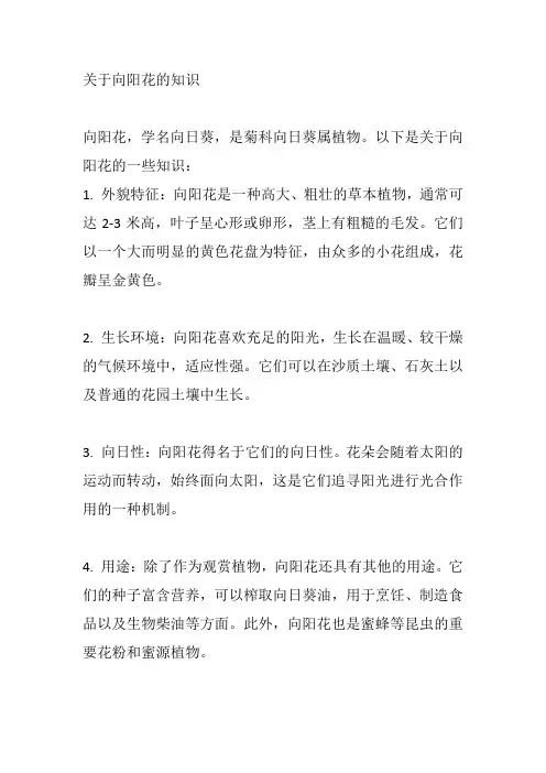 关于向阳花的知识