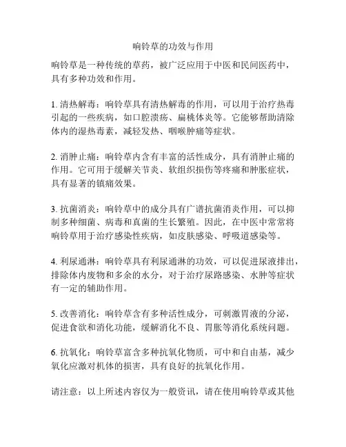 响铃草的功效与作用