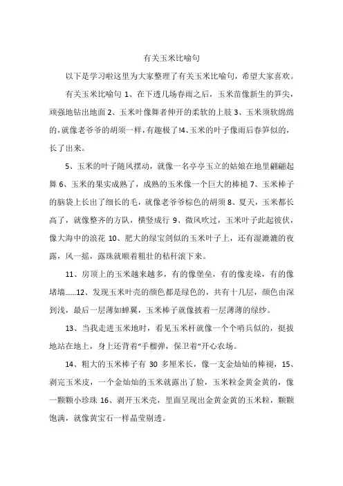 有关玉米比喻句