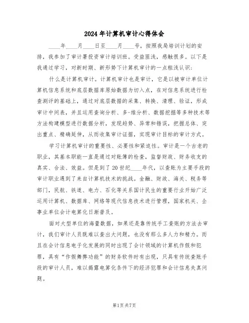 2024年计算机审计心得体会(2篇)