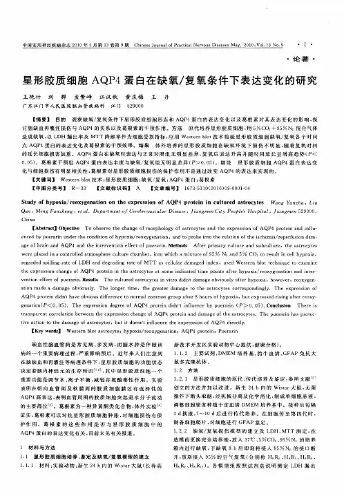 星形胶质细胞AQP4蛋白在缺氧／复氧条件下表达变化的研究