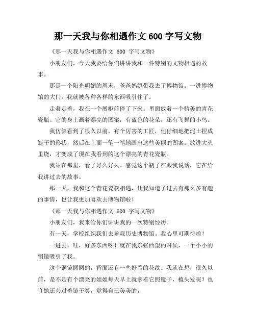 那一天我与你相遇作文600字写文物