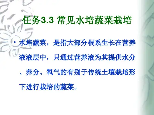 常见水培蔬菜栽培