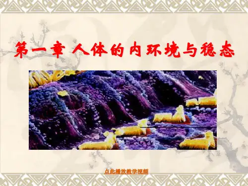 生物必修Ⅲ人教新课标1.2内环境稳态的重要性广州课件(共34张)