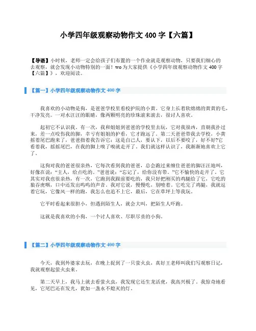 小学四年级观察动物作文400字【六篇】