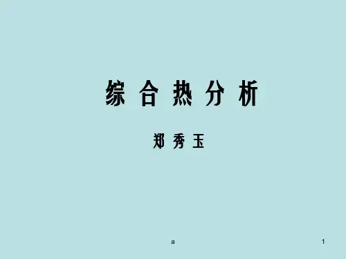 综合热分析PPT课件