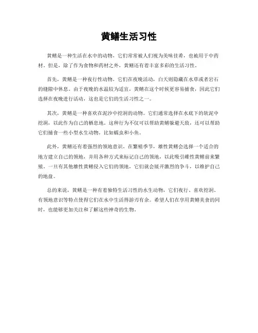 黄鳝生活习性