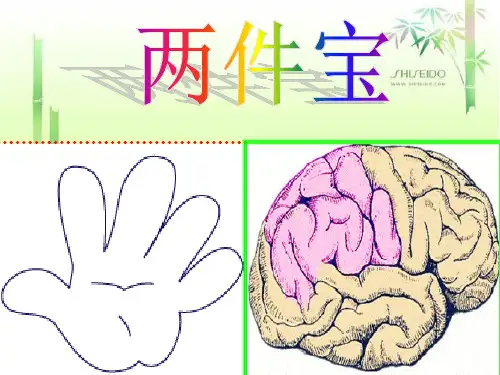 两件宝正式PPT课件