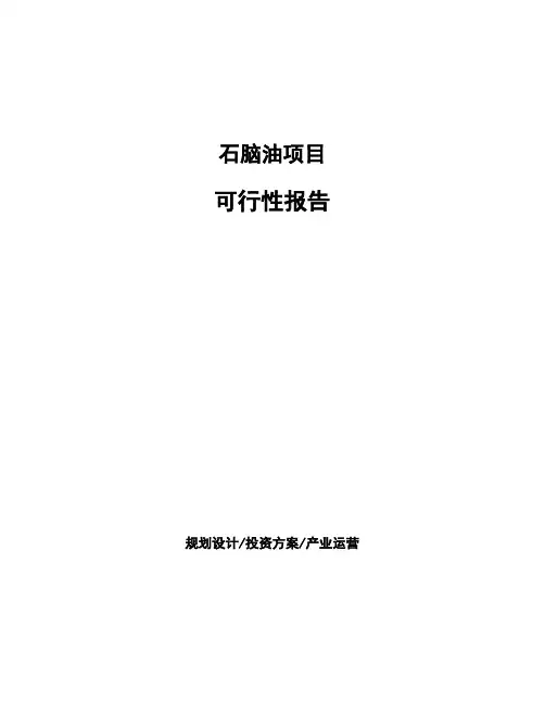 石脑油项目可行性报告