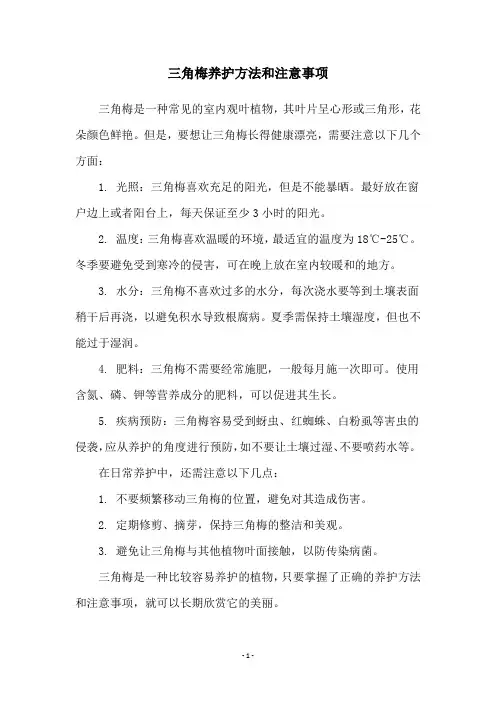 三角梅养护方法和注意事项