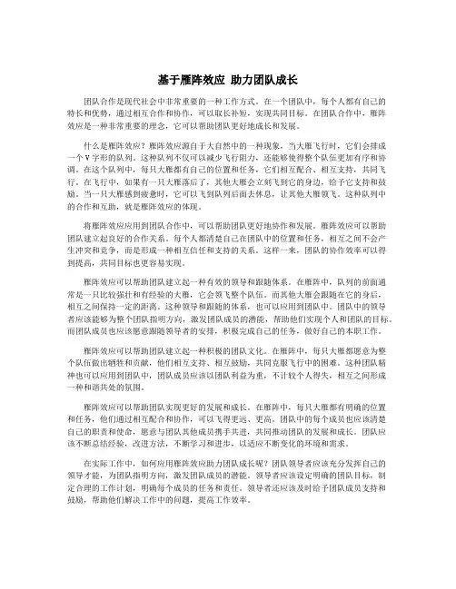 基于雁阵效应 助力团队成长