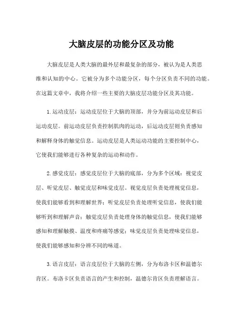 大脑皮层的功能分区及功能