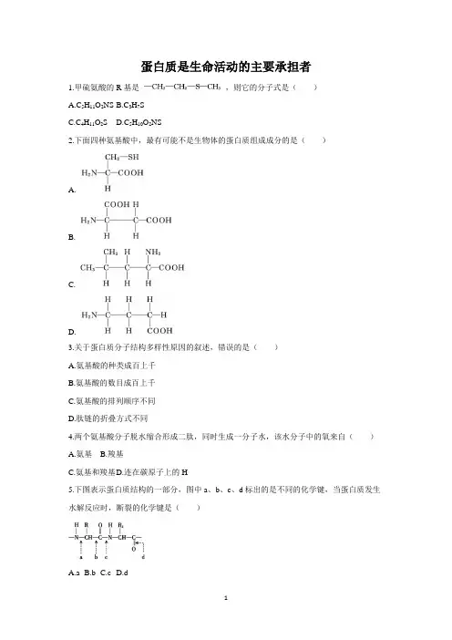 新人教版生物(2019)必修1蛋白质是生命活动的主要承担者练习含答案