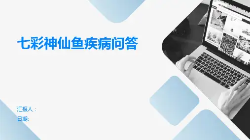 七彩神仙鱼疾病问答