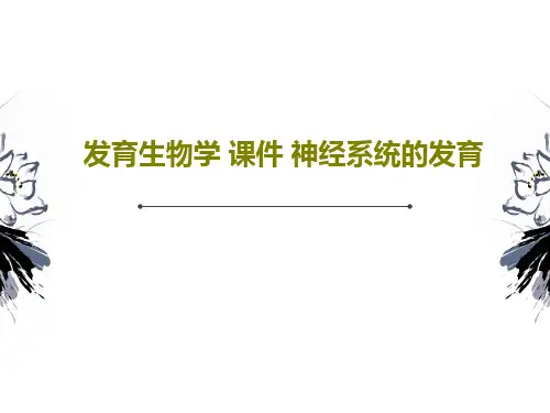 发育生物学 课件 神经系统的发育共45页文档