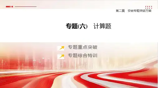 2025年中考化学二轮复习(安徽专版)专题(06) 计算题课件