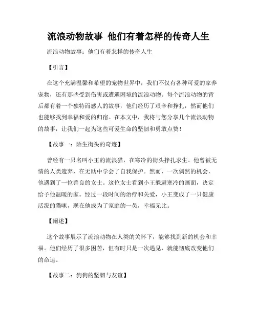 流浪动物故事  他们有着怎样的传奇人生
