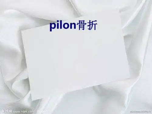 医学pilon骨折专题课件
