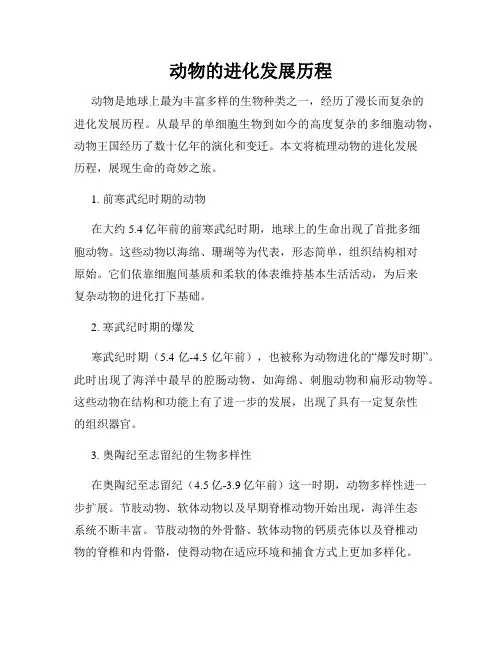 动物的进化发展历程
