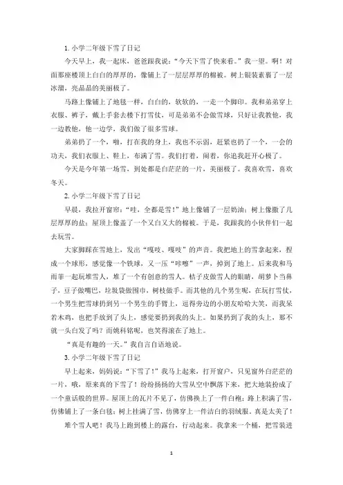 小学二年级下雪了日记11篇(精选)