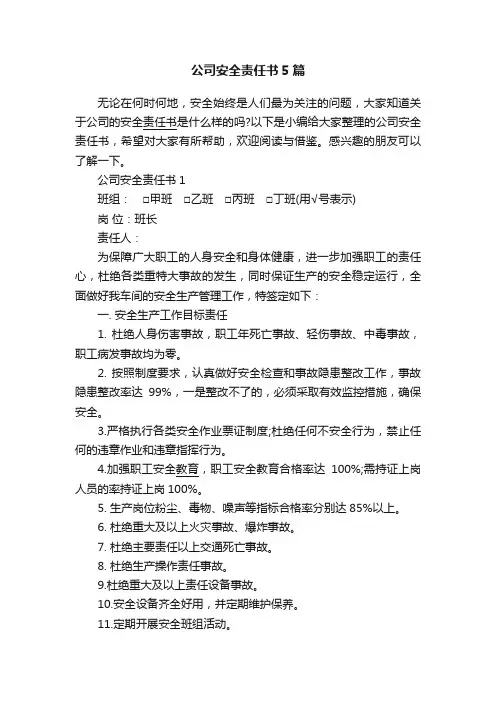 公司安全责任书5篇