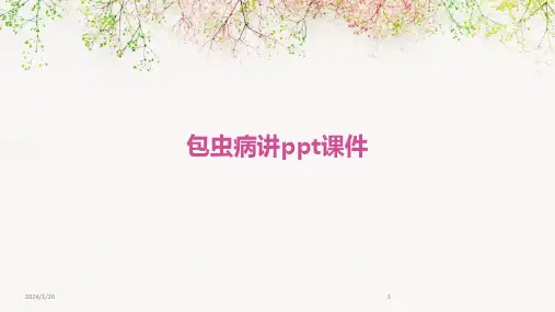 包虫病讲ppt课件