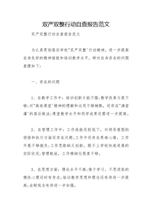 双严双整行动自查报告范文