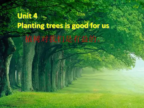 六年级英语下册Unit4《Plantingtreesisgoodforus》 优秀课件5(新版)湘少版