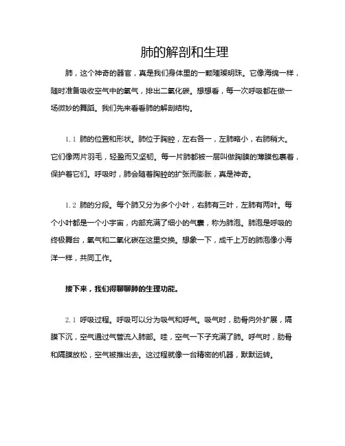 肺的解剖和生理