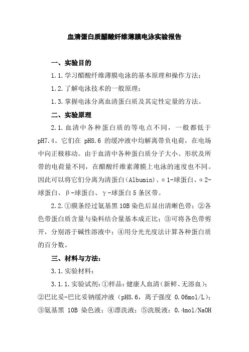 血清蛋白质醋酸纤维薄膜电泳实验报告