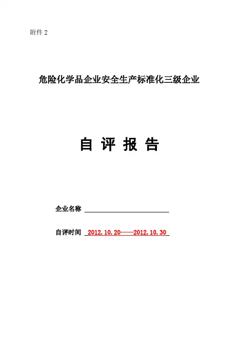 三级标准化自评报告
