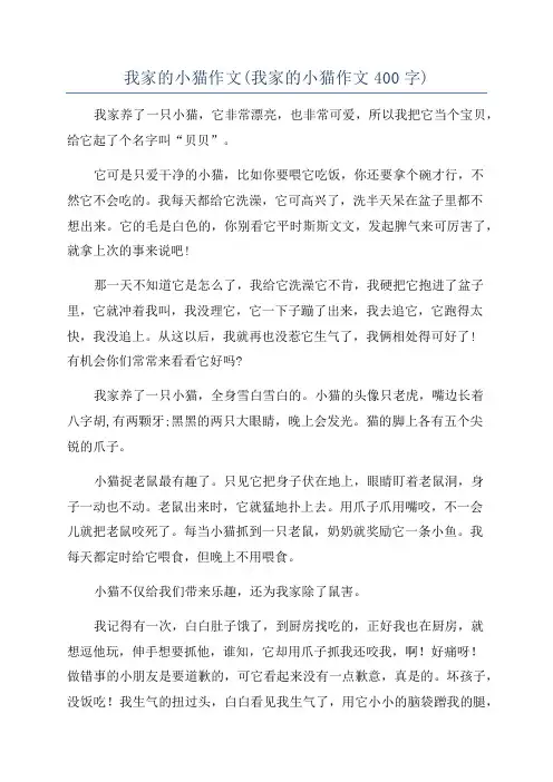 我家的小猫作文(我家的小猫作文400字)