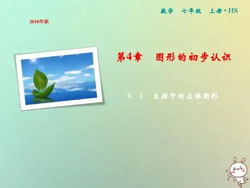 七年级数学上册第4章图形的初步认识4.1生活中的立体图形课件