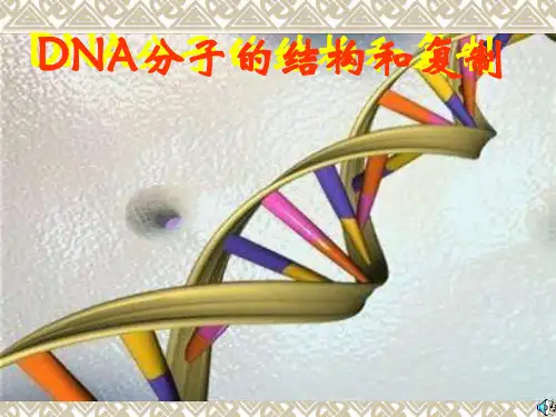 人教版教学课件高中生物人教版必修二第三章第2、3节：《DNA分子的结构和复制》课件