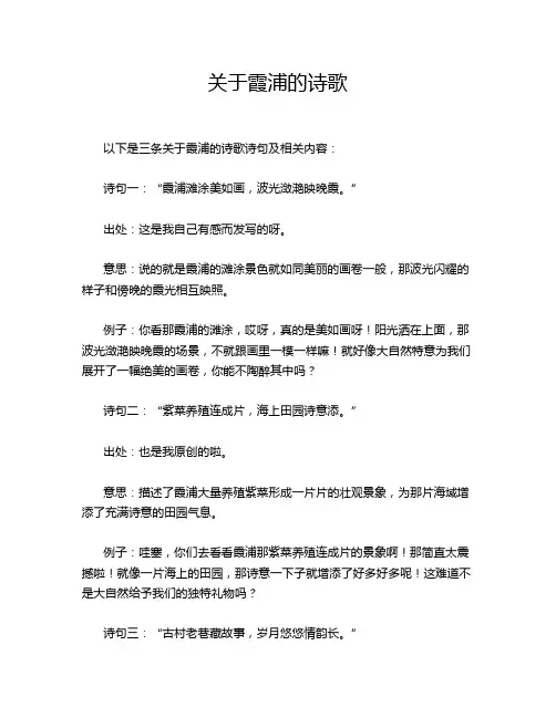 关于霞浦的诗歌