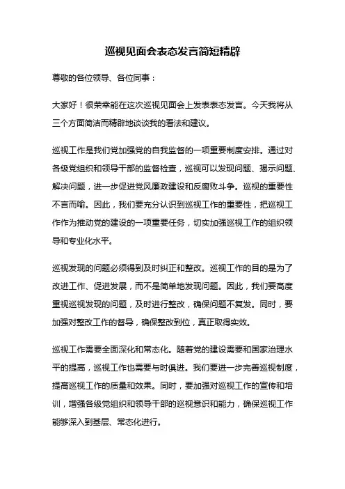 巡视见面会表态发言简短精辟