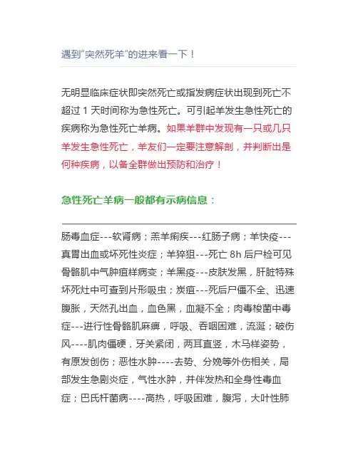 【养羊】遇到“突然死羊”的进来看一下
