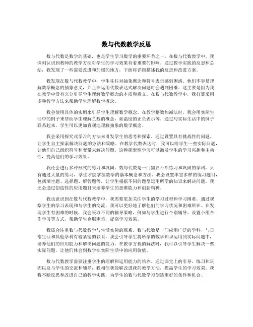 数与代数教学反思