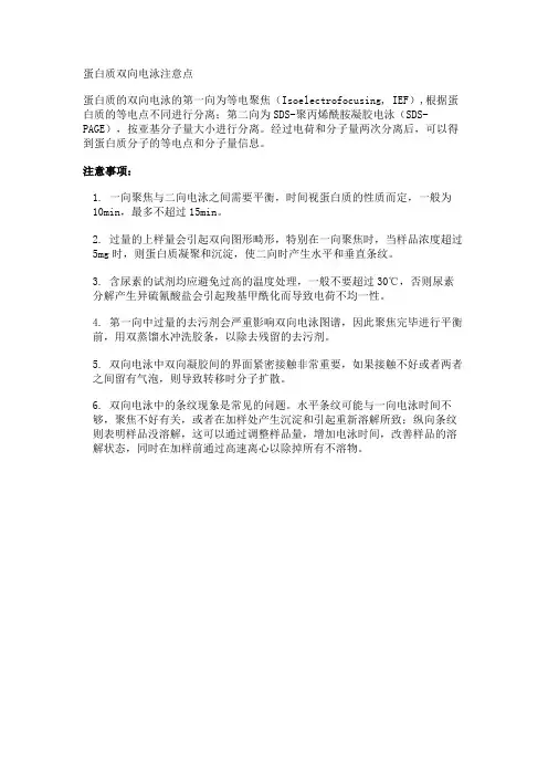 蛋白质双向电泳注意点