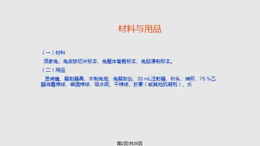 兔的解剖实用