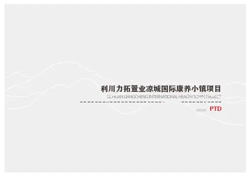 苗族自治州国际康养小镇概念规划设计方案文本