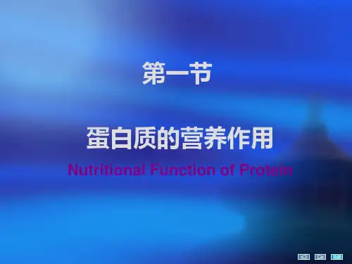 生物化学第十一章蛋白质的分解代谢