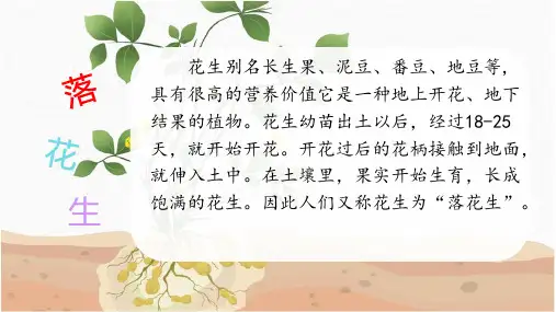 2 落花生课件(共26张PPT)