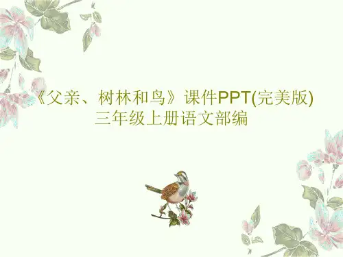 《父亲、树林和鸟》课件PPT(完美版)三年级上册语文部编56页PPT