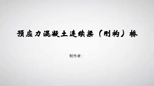 预应力混凝土连续梁(刚构)桥